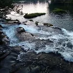Dzenis * Bihać