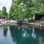 Dzenis