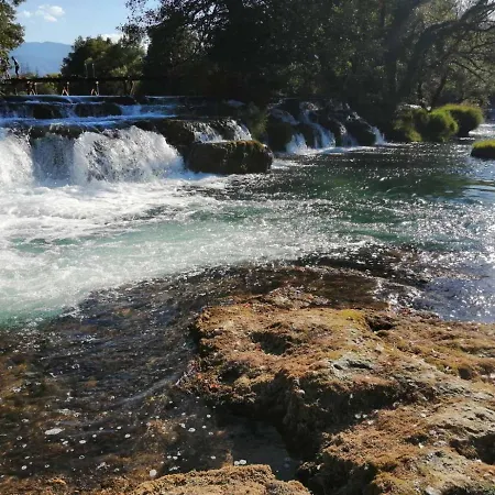 Dzenis Bihac