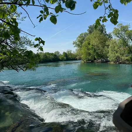 Dzenis * Bihać